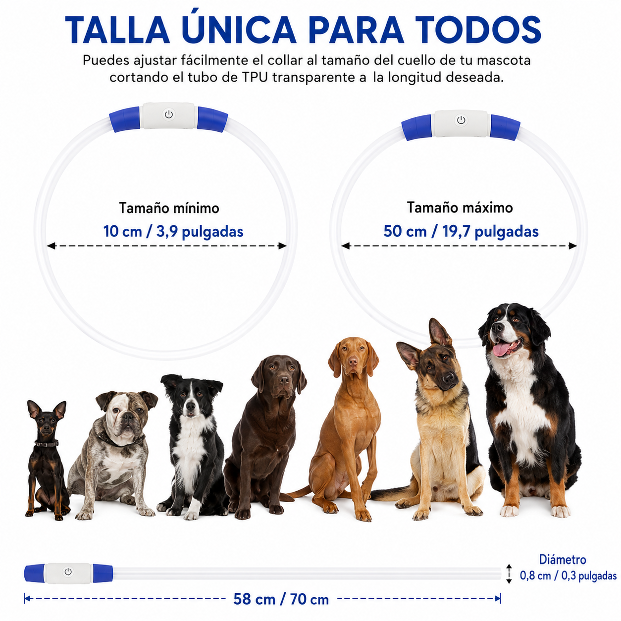 Collar LED Luminoso para Perros y Gatos